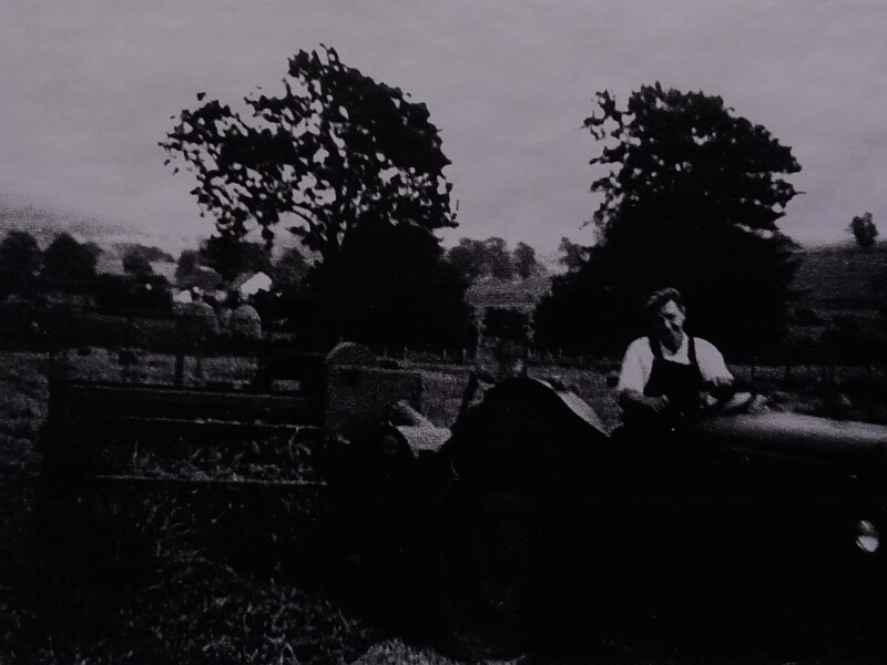 FARM LIFE 06