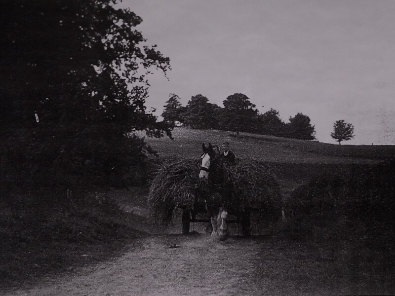 FARM LIFE 2