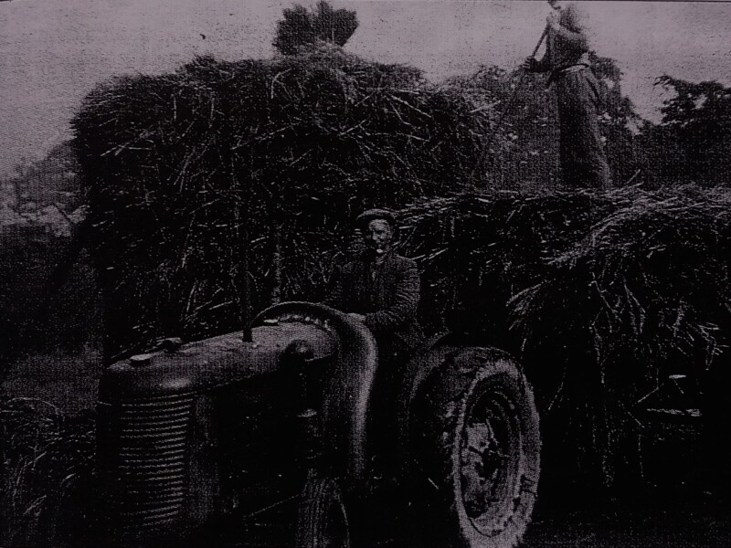 FARMING LIFE HAYMAKING AT LOCHWOODMAINS