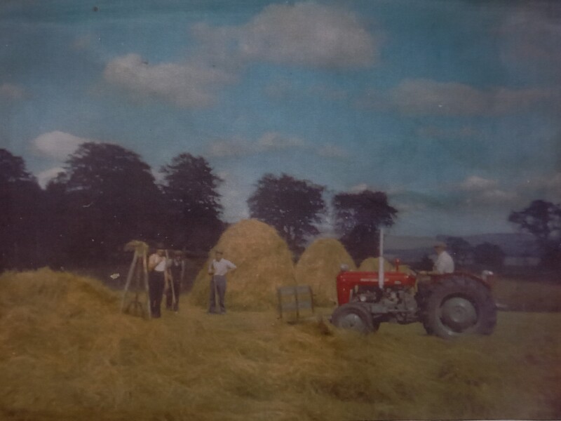 FARMING LIFE HAYMAKING PANLANDS 01