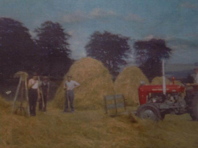 FARMING LIFE HAYMAKING PANLANDS 02