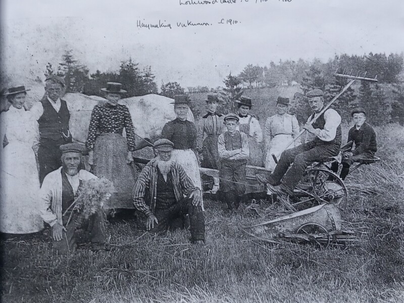 Farm life. Hay making 1910